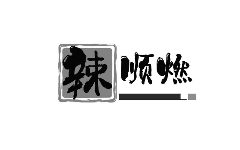 吴芳商标注册信息与企业个人商标查询指南 以顺燃科技为例